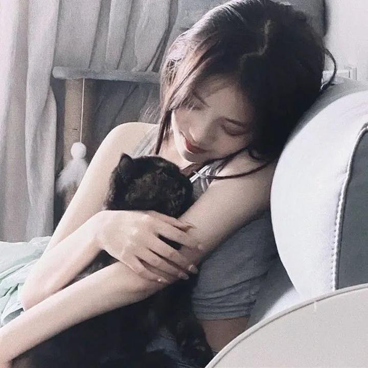 黑猫警长之翡翠之星海报